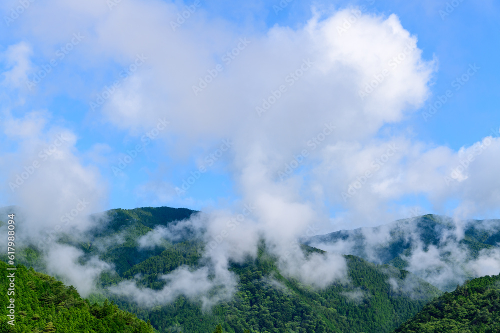 梅雨の雨上がり