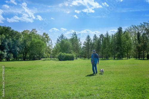 a man walks with a pug dog in a park in nature, a view from the back, selective focus