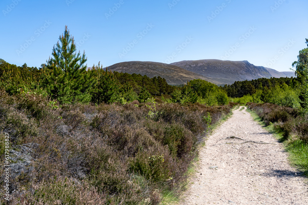 A Dirt Hiking Trail in a Forest with Mountains in the Background in the Scottish Highlands