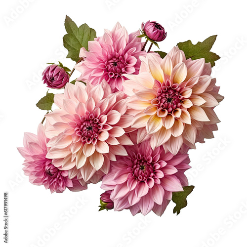 Pink peony flower arrangement transparent 