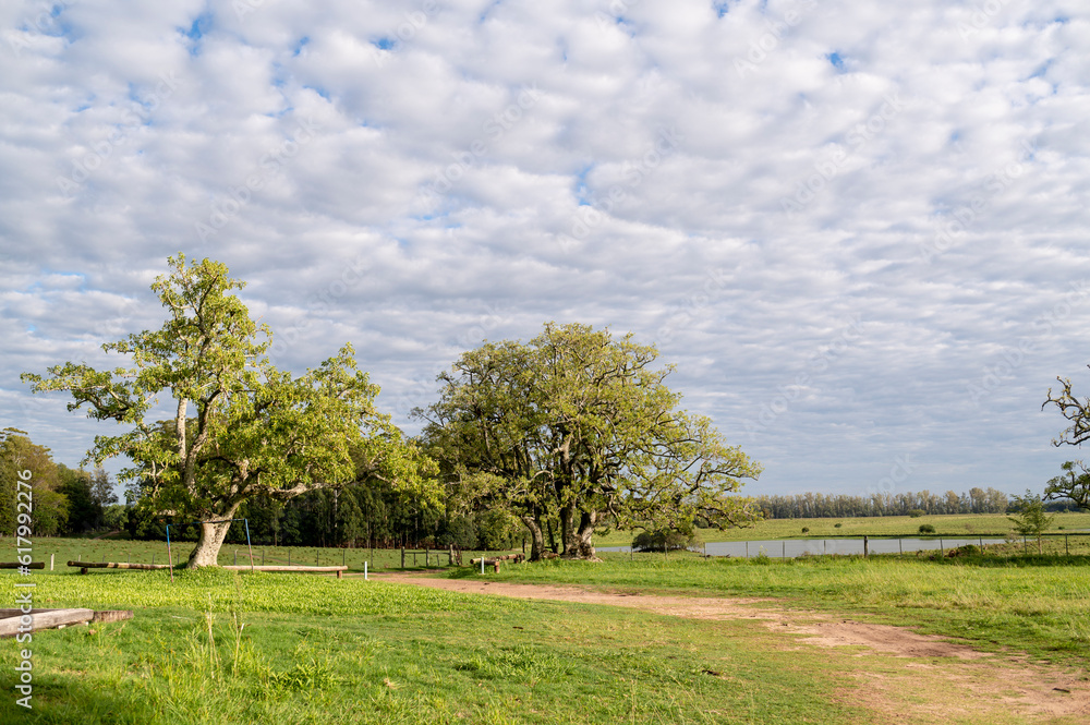 Countryside landscape at daytime, clouds and sun. Countryside landscape at daytime, clouds and sun.