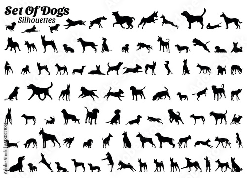 Set of vector silhouettes of various types of dogs.