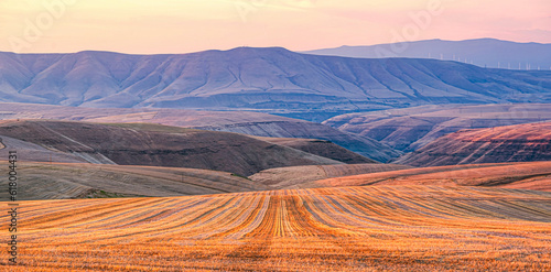 Fallow wheat field near the Deschutes River Canyon in Wasco, County, Oregon, glowing in the late afternoon light  