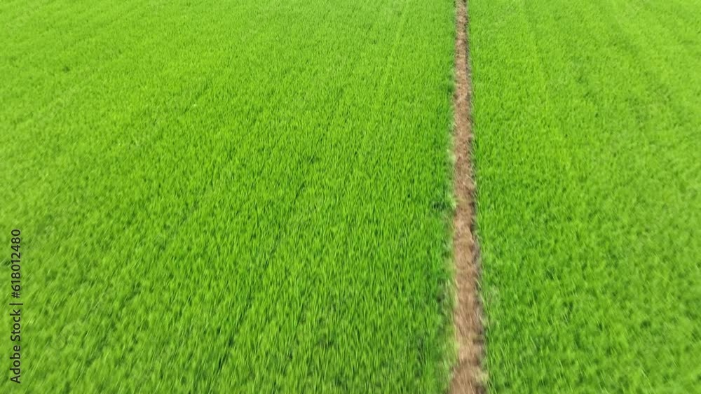 Drone view of Taiwan countryside. Drone view of Taiwan countryside.