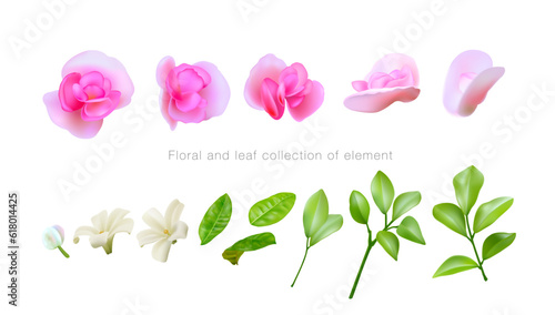 Floral and leaf collection of elements. Blooming flowers, buds, leaves. Tropical leaves and flowers. Botanical vector illustration isolated on white.