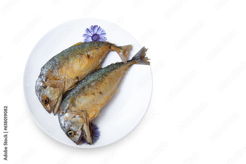 Above, Animal, Asia, Backgrounds, Calcium Above, Animal, Asia, Backgrounds, Calcium