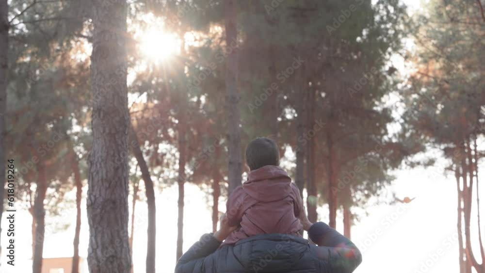 Back view of father carries the baby on his shoulders in the park