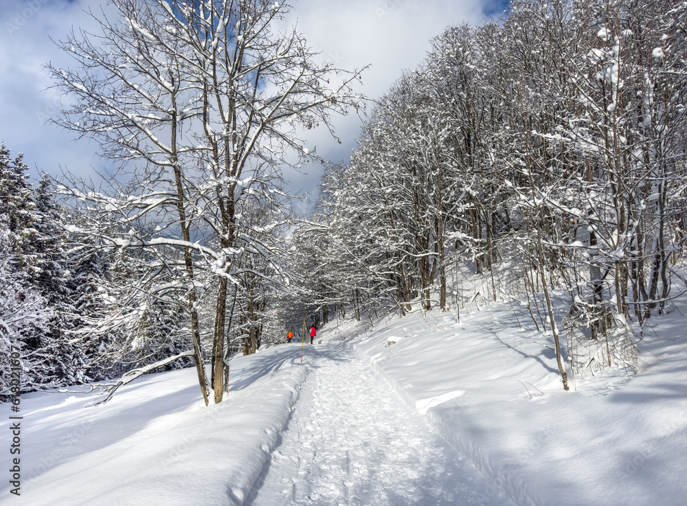 Fototapeta premium Winter landscape in French Alps.