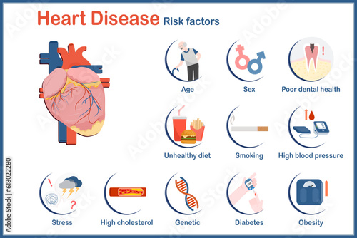 vector Illustration of risk factors with heart problems include age,sex,genetics,high blood pressure,obesity,diabetes,unhealthy diet,poor oral health,stress and high cholesterol.flat style.
