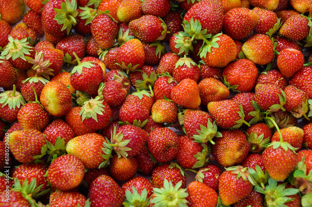 Natural looking fresh red strawberry in package. Natural looking fresh red strawberry in package.