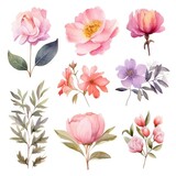 Watercolor flowers. Set Watercolor of multicolored colorful soft flowers. Flowers are isolated on a white background. Flowers pastel colors. 