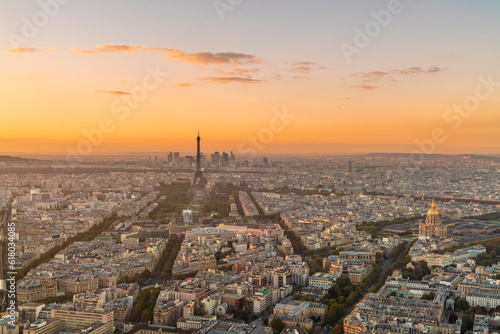 Skyline of Paris with Eiffel tower and La Defense  Paris  France