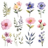 Watercolor flowers. Set Watercolor of multicolored colorful soft flowers. Flowers are isolated on a white background. Flowers pastel colors