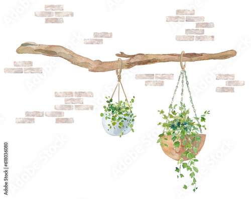 レンガ壁を背景に流木に吊るした、オシャレなハンギング植物の水彩イラスト。クリップアート。