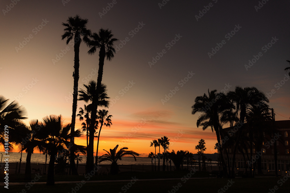 Obraz premium Palm Trees sunset at the beach