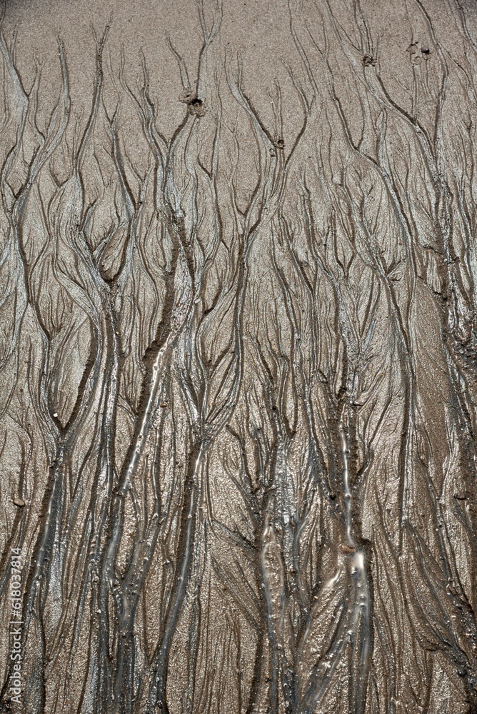 Black sand pattern, Ubhrat beach, Navsari, Gujarat, India, Asia Black sand pattern, Ubhrat beach, Navsari, Gujarat, India, Asia