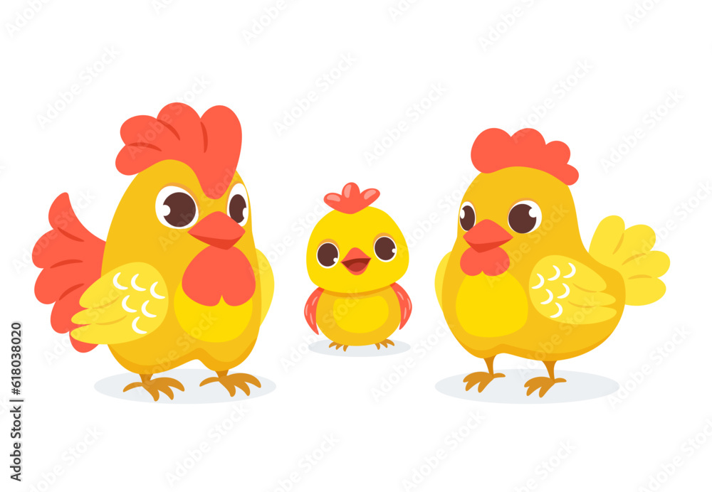 Cute chicken family with their chicken in cartoon style. Vector illustration of an adult hen, rooster and chick on a white background.