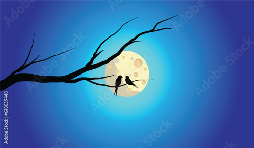 Two birds and Moonlit night paint