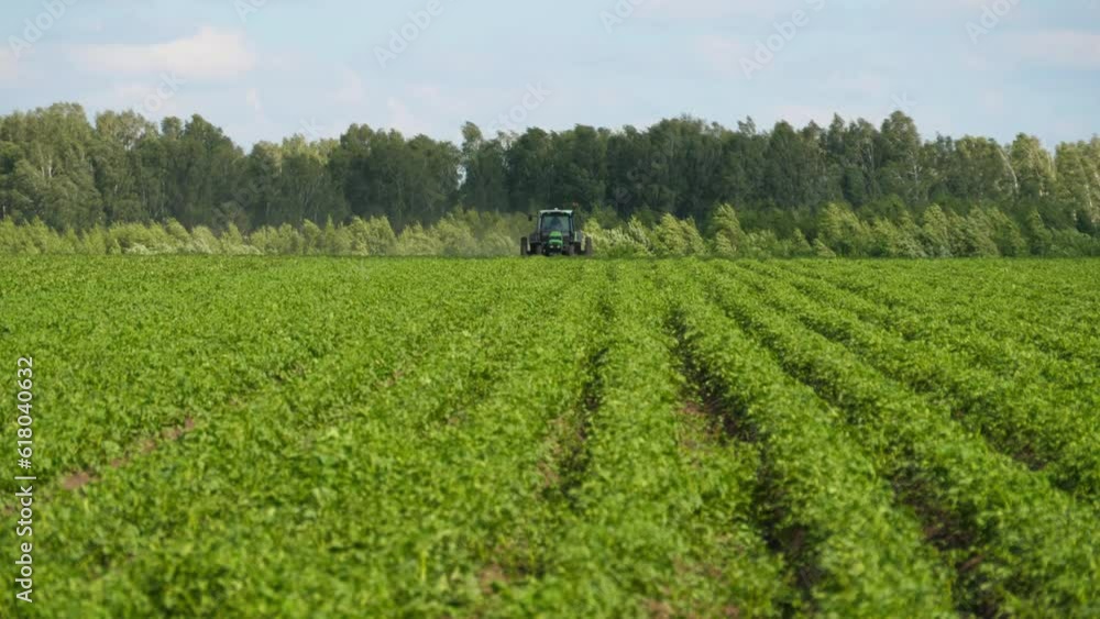 Agricultural blue tractor working in a potato field. Farm field. Hilling potatoes with equipment Agricultural blue tractor working in a potato field. Farm field. Hilling potatoes with equipment