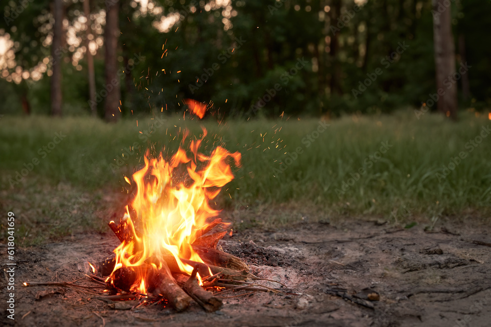 Campfire in the woodland. Bonfire in the evening after the day in the forest. Campfire in the woodland. Bonfire in the evening after the day in the forest.