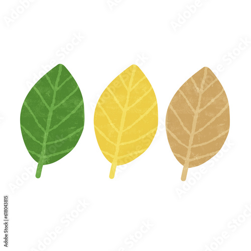 Drawing of a variety of col...