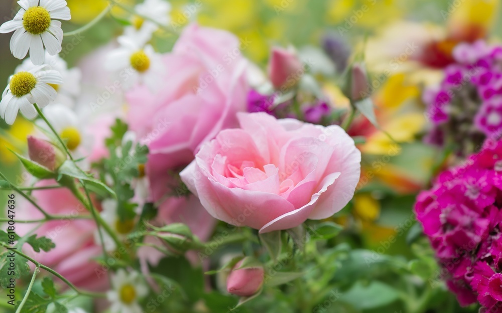 closeup on pretty rose in a bouquet of flowers freshly picked in the garden