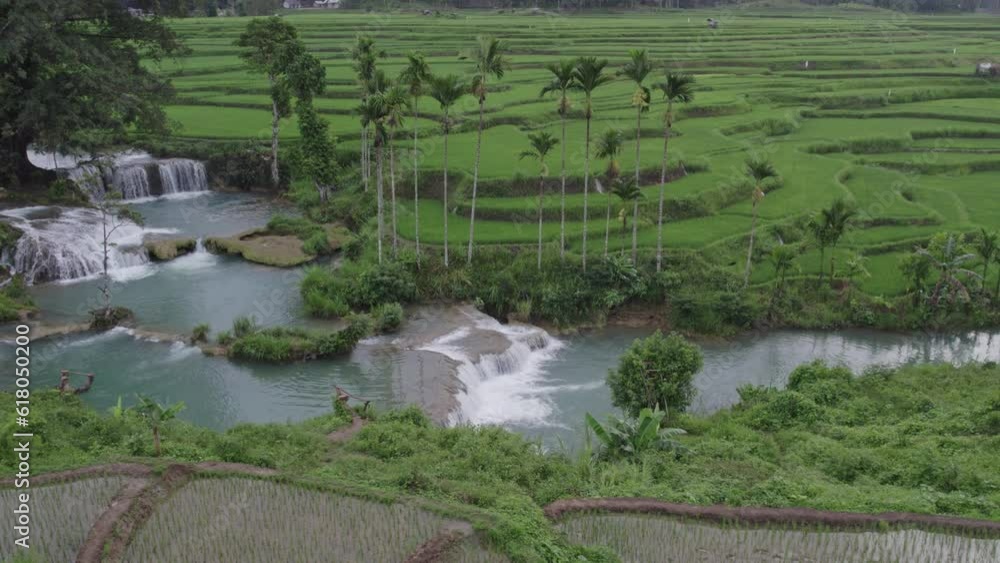 Reveal shot a tropical waterfall with big tree at Sumba island, aerial Reveal shot a tropical waterfall with big tree at Sumba island, aerial