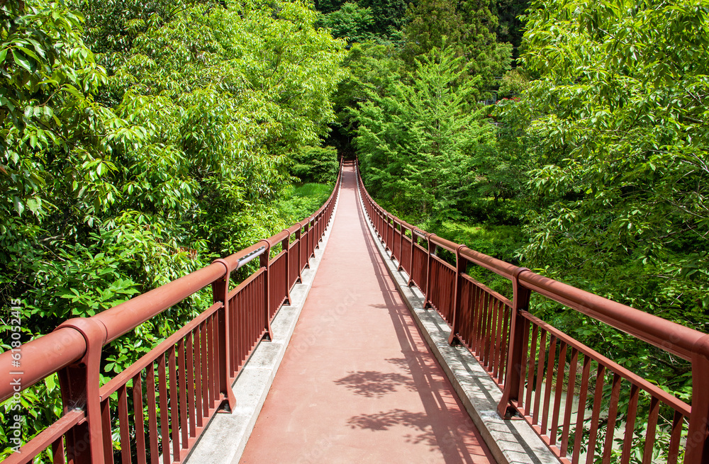 Fototapeta premium 秋川渓谷 石舟橋｜渓谷を渡る朱色の美しい吊り橋です 
