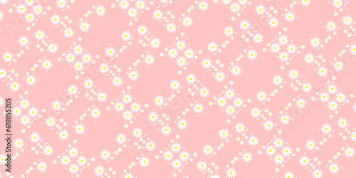 White daisy,daisies seamless on peach pink pastel background. 