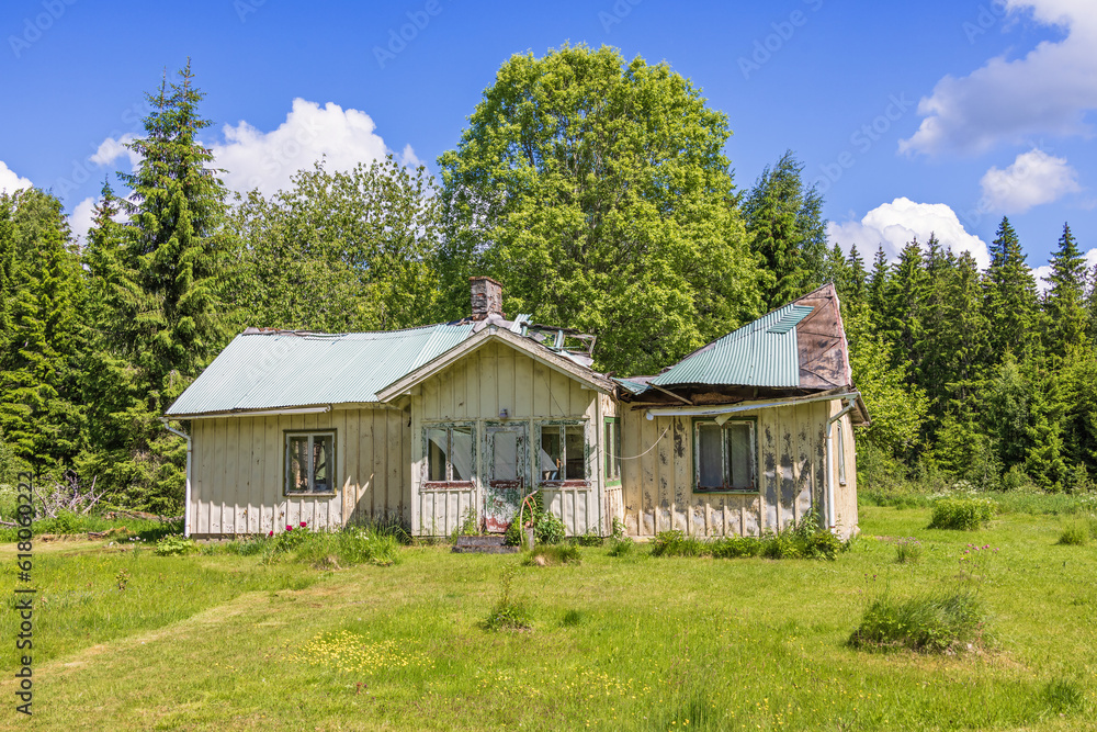 Obraz premium Old cottage with a bad roof in the countryside
