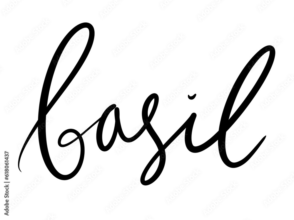 simple design element lettering calligraphy stylish black brush seasoning name basil hand drawn style for packaging print simple design element lettering calligraphy stylish black brush seasoning name basil hand drawn style for packaging print