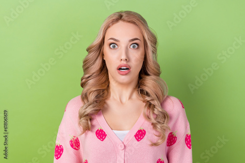 Portrait of pleasant impressed woman with curly hairstyle wear stylish sweatshirt staring open mouth isolated on green color background © deagreez
