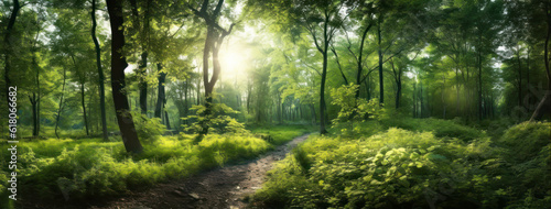 Green forest landscape panorama in summer © eyetronic