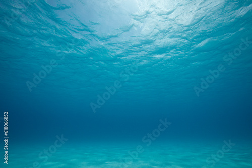 Underwater landscape with clear blue water in the Caribbean sea.