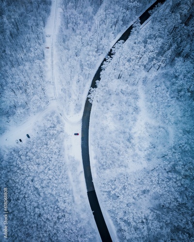 Принти на полотні Top view of a winding road through the snow covered forest on a cold winter day