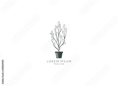 Potted plants for home decoration. House plant in vase vector isolated on white background