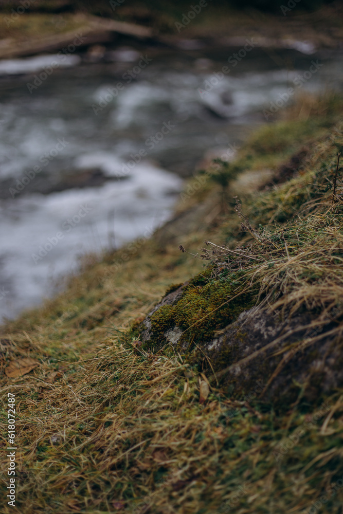 grass and water