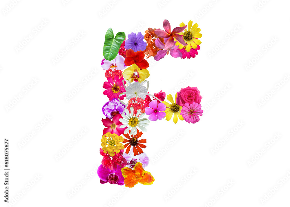 F shape made of various kinds of flowers petals isolated on transparent background, PNG F shape made of various kinds of flowers petals isolated on transparent background, PNG