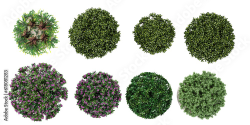 Top view of pittosporum tobira, Daphne Spring Pink Eternal,Rosemary,Fragrance,Donkey tail succulent,Tradescantia spathacea isolated transparent background collection