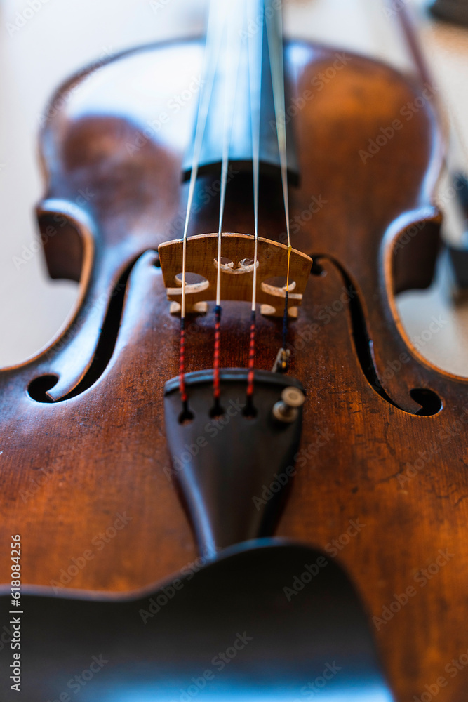 Deeply Immersed: Professional violinist Honing Her Craft at Home Deeply Immersed: Professional violinist Honing Her Craft at Home