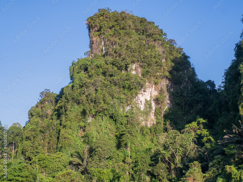 tree in the mountains. cliffs of high mountains, old limestone mountains covered with trees, visit the mountains and nature on vacation on a clear day.