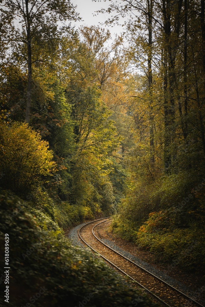 Scenic railway track passing through a lush forest with trees covered in autumn foliage