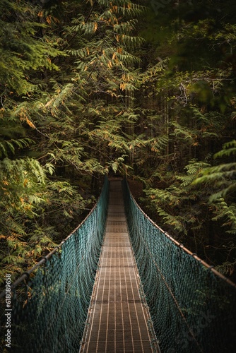 Moody suspension bridge traverses through a lush green forest, British Columbia, Vancouver Island