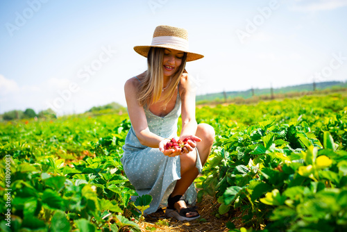 Beautiful cute woman in a romantic dress and a straw hat on her head picks strawberries in the field