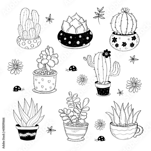Collection tropical houseplant cactus doodle. Vector illustration. Isolated decorative hand drawings indoor plants flowerpots for design and decor.