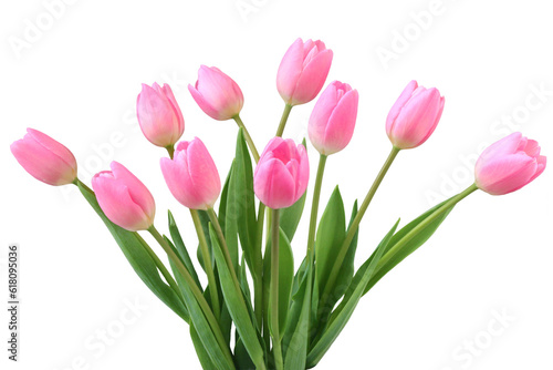 チューリップの花束