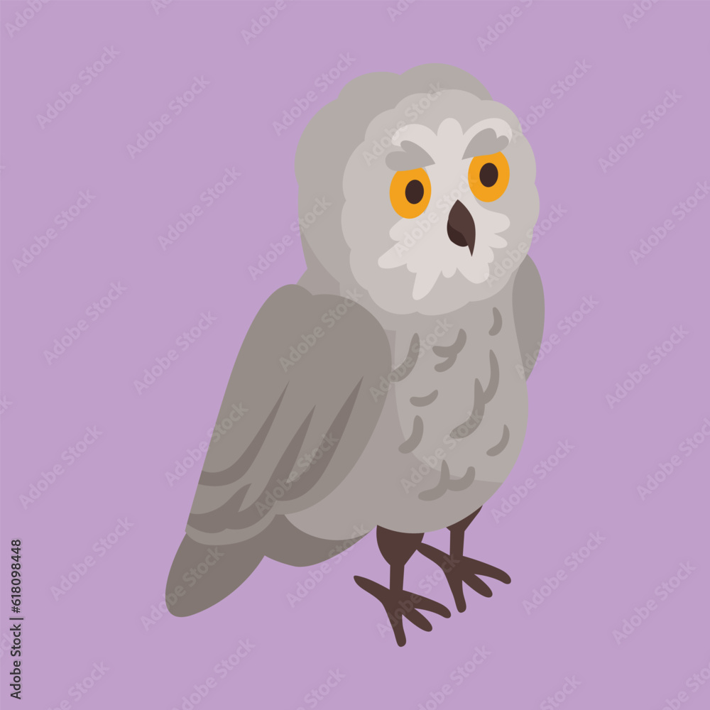 flat vector owl bird animal