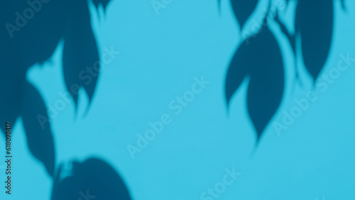 Minimalistic abstract gentle light background for product presentation with light and intricate shadow from tree branches on wall