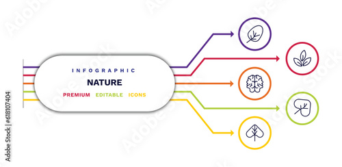 set of nature thin line icons. nature outline icons with infographic template. linear icons such as apricot leaf leaf, human brian, linden leaf, tree leave, cordate vector.
