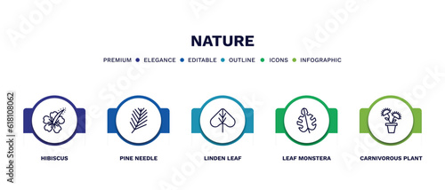set of nature thin line icons. nature outline icons with infographic template. linear icons such as hibiscus, pine needle, linden leaf, leaf monstera, carnivorous plant vector.